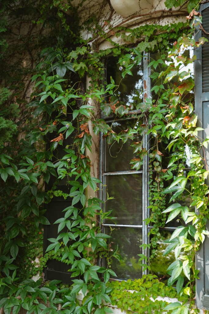 Romantic garden ceremony space at Greencrest Manor wedding venue in Battle Creek Michigan. Wedding photographer