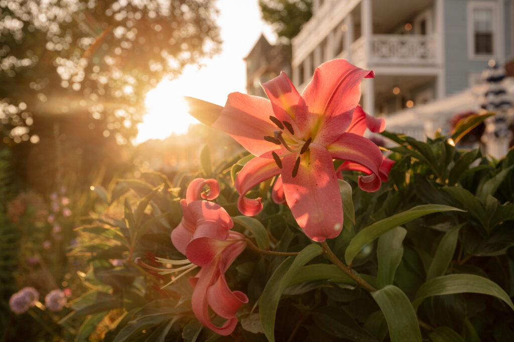 Mackinac Island wedding photographer Mission Point Resort, Grand hotel, The Inn at Stonecliffe wedding